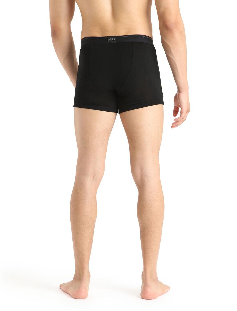 Icebreaker Merino 175 Everyday Thermal Boxers With Fly Miesten Alusvaatteet Mustat | FI 1293VRWD